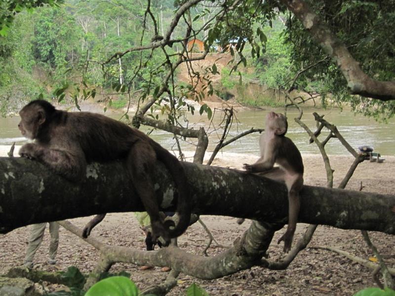 Grand Selva Lodge & Tours تينا المظهر الخارجي الصورة