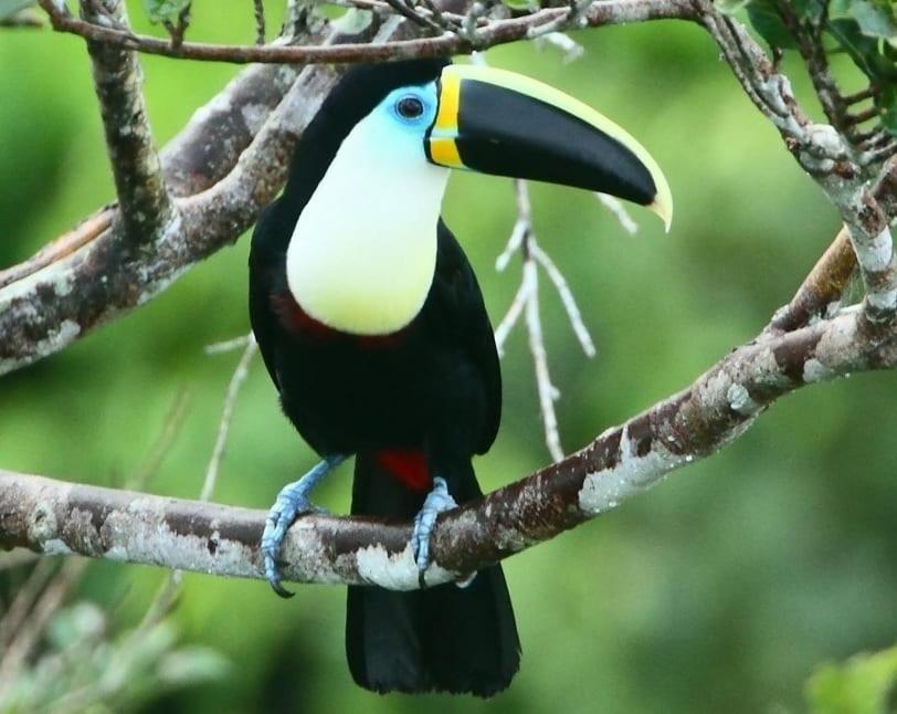 Grand Selva Lodge & Tours تينا المظهر الخارجي الصورة