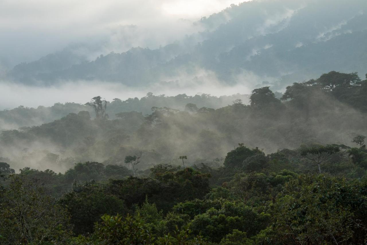 Grand Selva Lodge & Tours تينا المظهر الخارجي الصورة