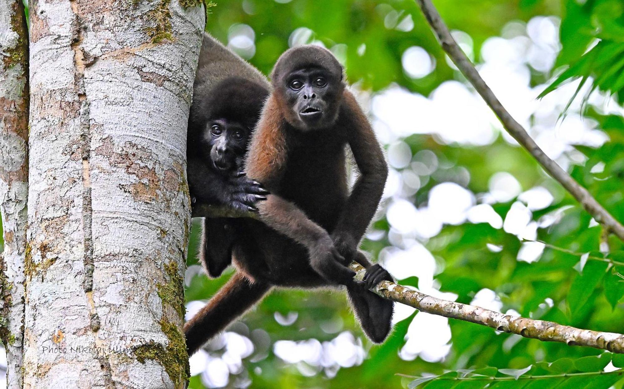 Grand Selva Lodge & Tours تينا المظهر الخارجي الصورة